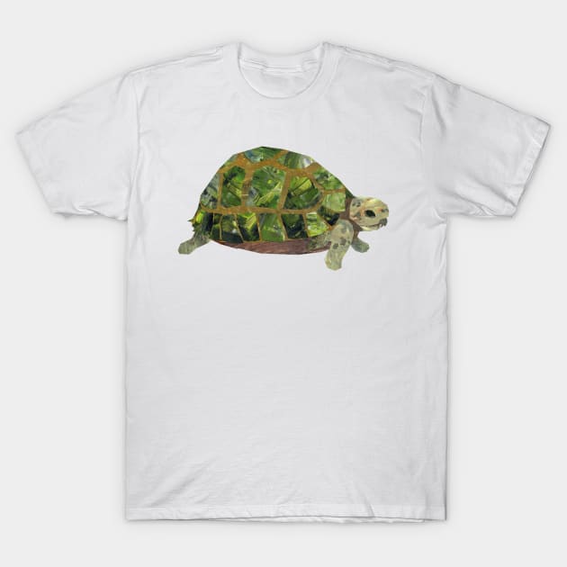 Tortoise T-Shirt by Babban Gaelg